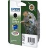 Epson T0791
